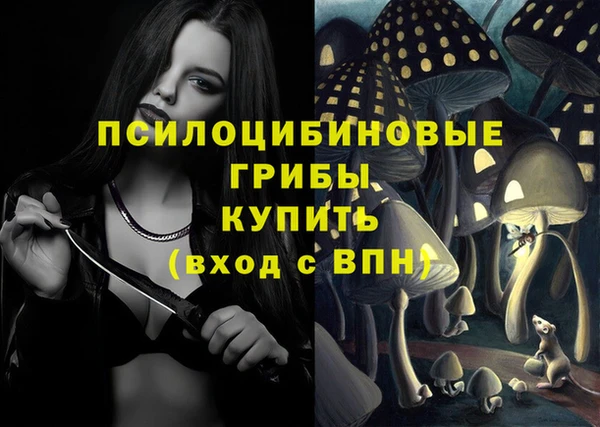гашик Магадан