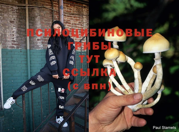 гашик Магадан