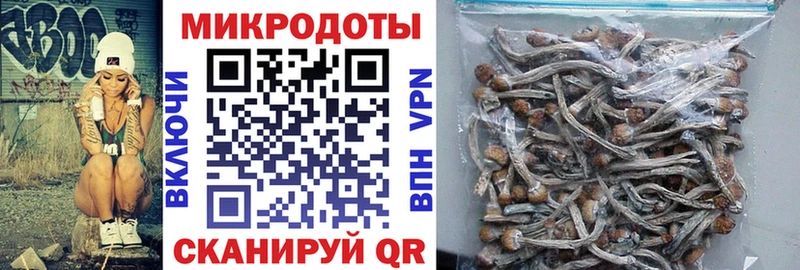 Купить закладки  Камешково  Галлюциногенные грибы прущие грибы 