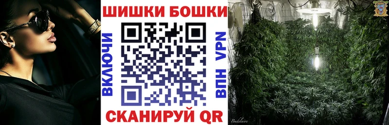 Купить  Камешково  Канабис ГИДРОПОН 